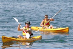 Manly Kayaks - Attractions