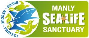 Manly SEA LIFE Sanctuary - Attractions